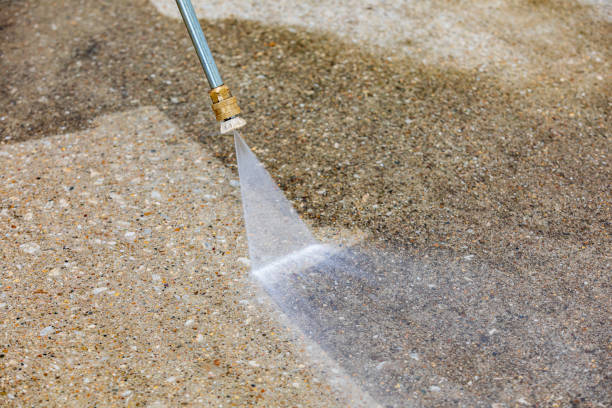 Best Driveway Pressure Washing  in Magnolia, TX